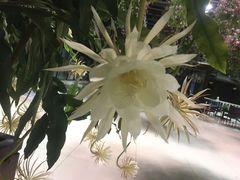 -常州花鸟园酒店(西太湖品牌优选店)