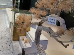 -KUNCHA鲲茶·江西制茶(铜锣湾店)