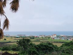 -牛岛王子面馆