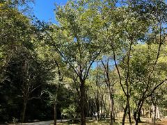 -湖洞水自然风景区