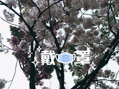 -唐城墙遗址公园