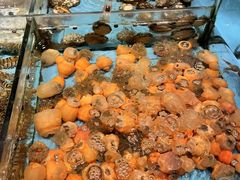 -食鼎记海鲜大排档(美食街店)