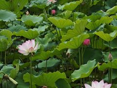 -悦南国酒店(深圳罗湖口岸店)