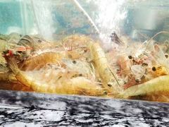 -漓咖啡西餐厅 · 桂林香格里拉