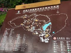 -成都大熊猫繁育研究基地