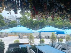 -成都娃娃花园餐厅 (南艺旗舰店)