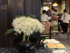 -灶咖KITCHEN