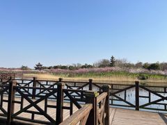 -上海海湾国家森林公园