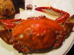 -星伦多 自助料理(圆融店)