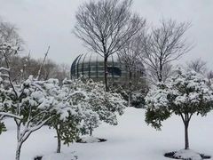 -东华大学(松江校区)