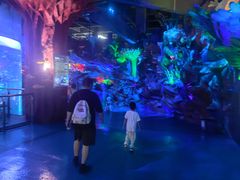 -泉城欧乐堡海洋极地世界