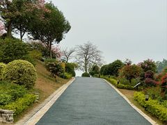 -东莞植物园