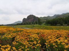 -塞罕坝国家级自然保护区