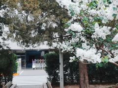 -建国门(地铁站)