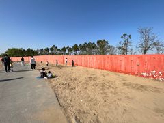 -春花秋色城市公园