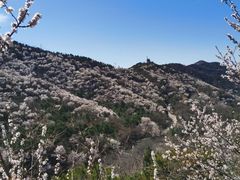 -北京西山国家森林公园