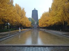 -玲珑塔公园