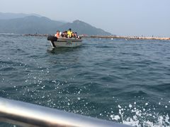 -西涌国际滨海旅游区