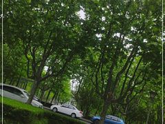 -紫玉轩精菜馆(东川路店)