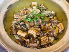 -红星光发煲仔饭(文海店)