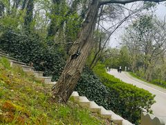 -南京市江宁方山