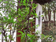 -秋霞圃