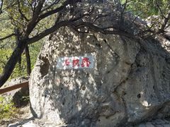 -阳台山自然风景区