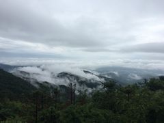 -木兰云雾山