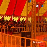 马戏团表演