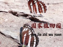 -国家植物园