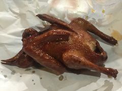 -南粤光明乳鸽(宝安中心店)