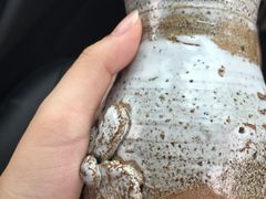 -远山有窑