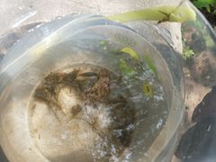 -碓臼峪自然风景区