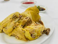 雞煲翅-新陶陶酒家