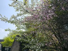 -浙江大学(玉泉校区)