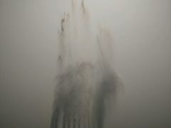-武清南湖绿博园