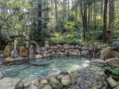 -金方森林温泉