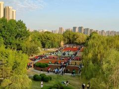 -长白岛森林公园