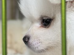 -重庆国际会议展览中心