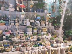 -循礼门鲜花花市(武汉循礼门店)