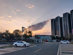 -光明小镇欢乐田园