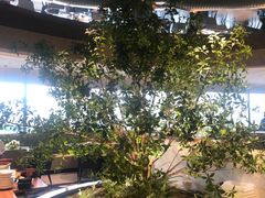 -和苑酒家·一线江景(星寰店)