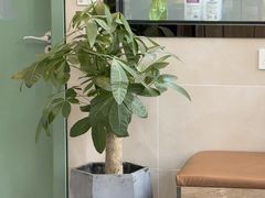-半岛宠物医院24小时·内窥镜·牙科·碎石中心(府城大道店)