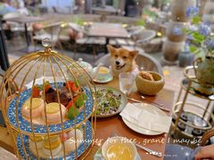 -Golden Lily河内巴黎法越料理餐厅(建国西路店)