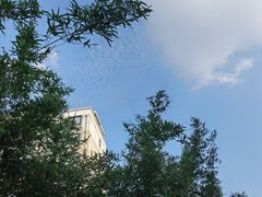 -碧云国际社区·晓园