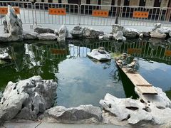 -龙华素斋(龙华路店)