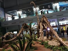 -自贡恐龙博物馆