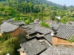 -杨家堂村