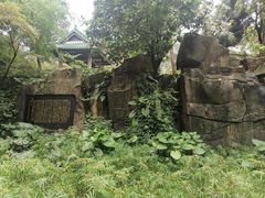 -广州兰圃