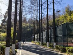 -莫干山风景区